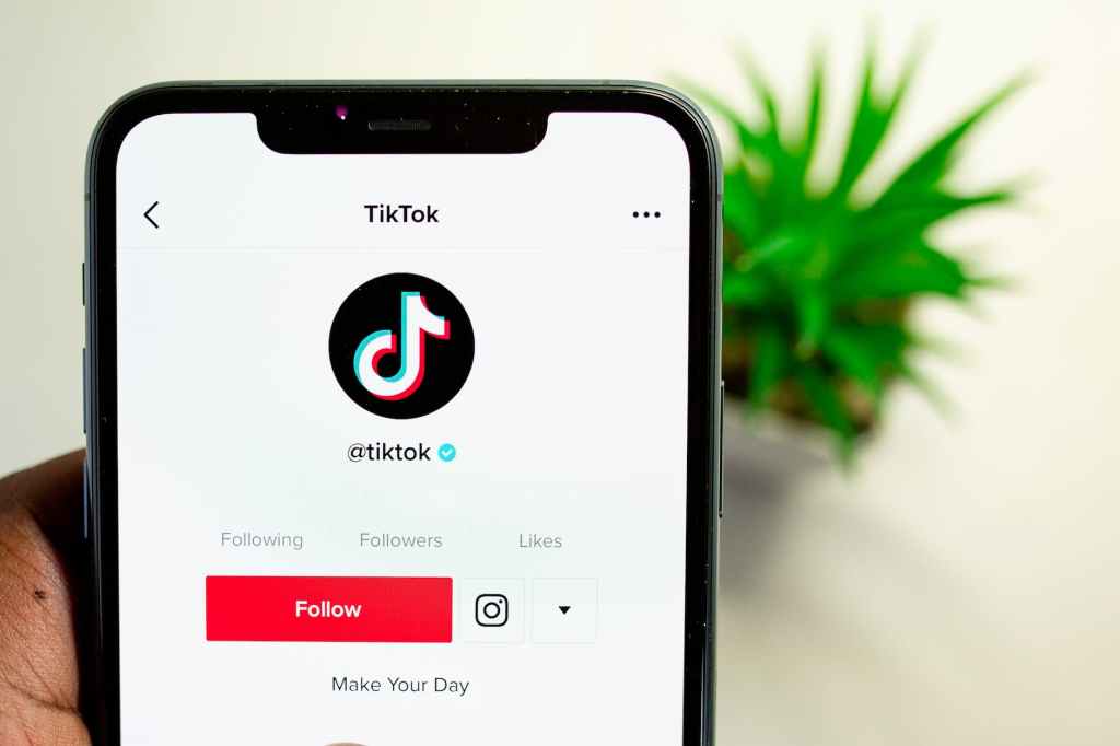 TikTok video imploring people to vote for Rawal is misleading